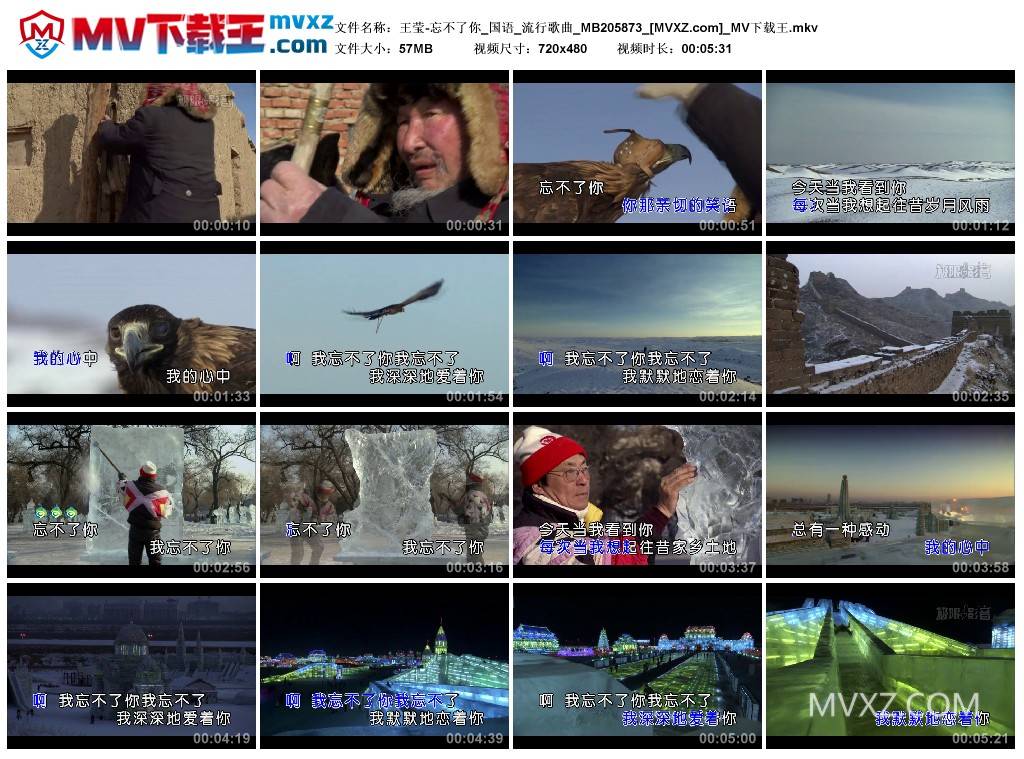 王莹-忘不了你_国语_流行歌曲_MB205873